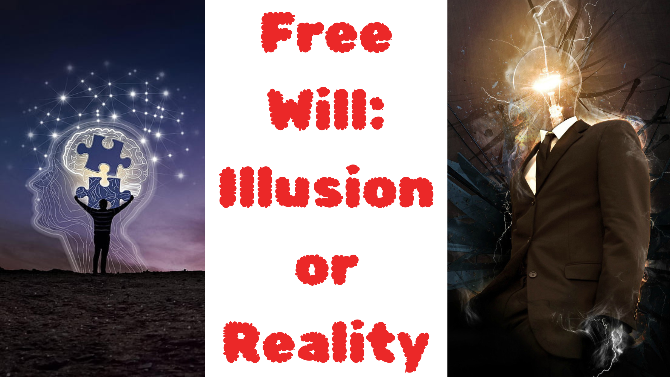 Free Will Illusion or Reality